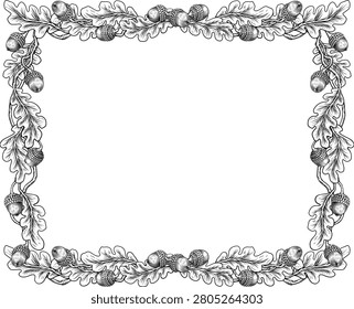 An oak tree leaves and acorns frame or border design element in a vintage woodcut etching illustration style.