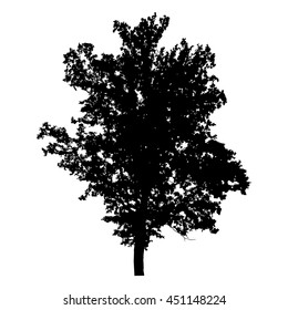 Oak tree with leaves, black silhouette on white background. Vector icon.