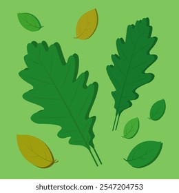 oak tree leaves drawing, green and yellow leaf vector, illustration