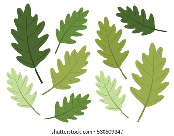 Oak Tree Leaves In Green