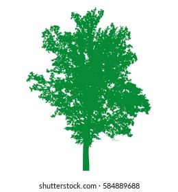 Oak tree with leaves, green silhouette on white background. Vector realistic icon for your design.