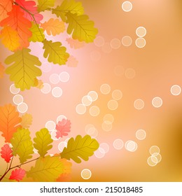 Oak tree Leaves on a Warm Colored Background of Autumn
