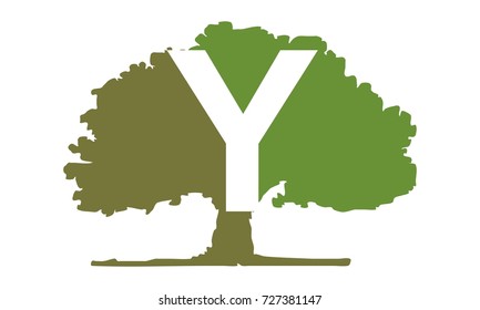Oak Tree Letter Y