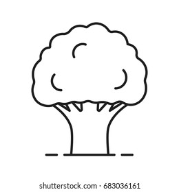 Oak tree linear icon. Thin line illustration. Contour symbol. Vector isolated outline drawing