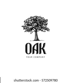 Similar Images, Stock Photos & Vectors of Oak Tree Logo - 572509780