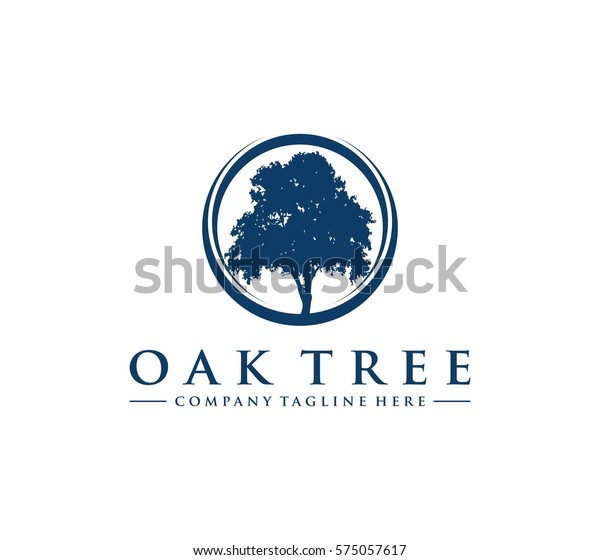Oak Tree Logo Stock Vector (Royalty Free) 575057617