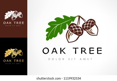 Oak tree logo. Acorn vector.