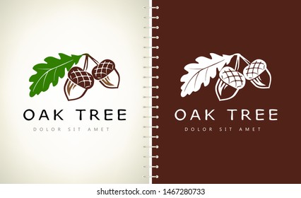 Oak tree logo. Acorn  vector.