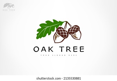Oak tree logo. Acorn  vector.