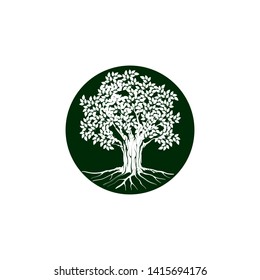 oak tree logo with circle lines surrounding it, dark color on white background