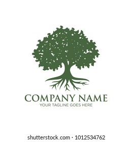 oak tree logo design