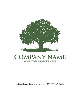 Oak Tree Logo Design