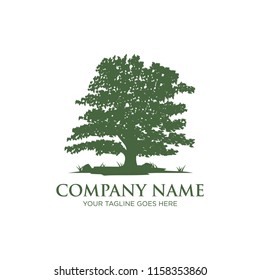 oak tree logo design