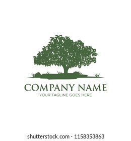 oak tree logo design