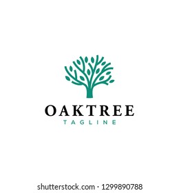 oak tree logo design