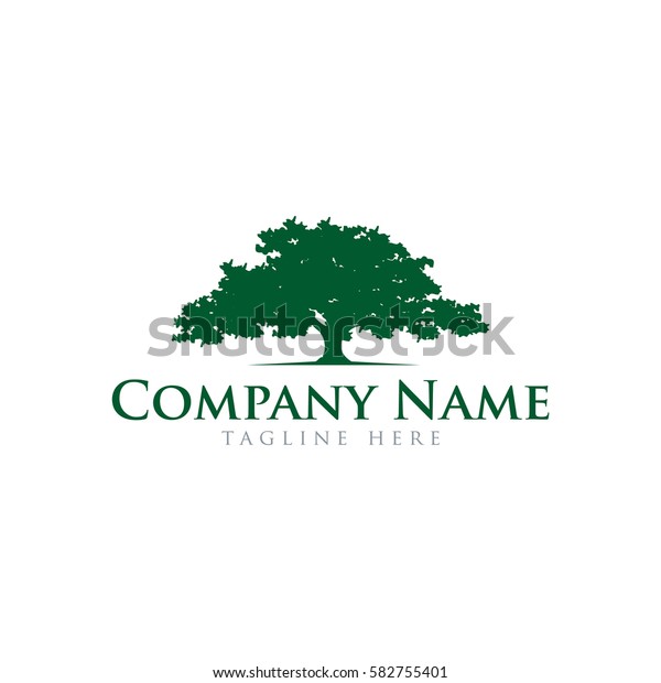 Oak Tree Logo Design Stock Vector (Royalty Free) 582755401