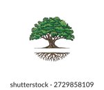 Oak tree logo design with oak tree circle logo concepts