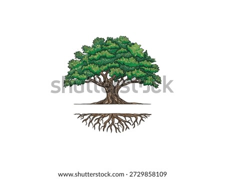 Oak tree logo design with oak tree circle logo concepts