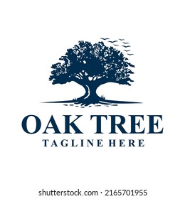 oak tree logo design creative 