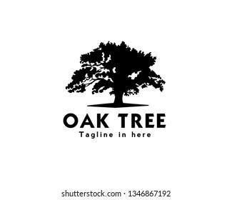 oak tree logo design inspiration