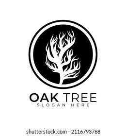 Inspiración en el diseño del logo de un árbol de roble