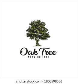 oak tree logo design silhouette vector