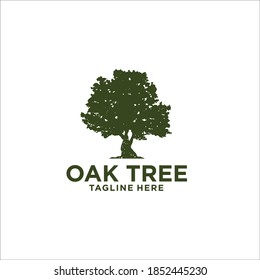 Oak Tree Logo Design Silhouette Vector