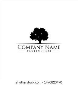Oak tree logo design template 