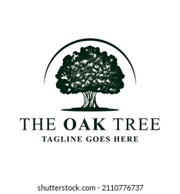 Oak tree logo design template