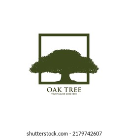 Oak Tree Logo Design Template.