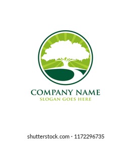 Oak tree logo design vector