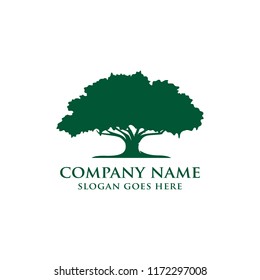 Oak tree logo design vector