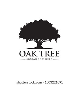 White Oak Trees Stock Illustrations, Images & Vectors | Shutterstock