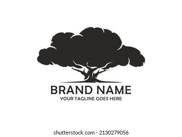 Oak tree logo design vector illustration