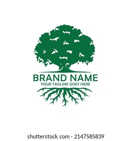 Oak tree logo design vector illustration