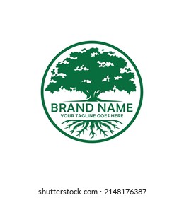Oak tree logo design vector illustration