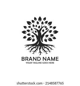 Oak tree logo design vector illustration