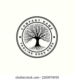 oak tree logo design, tree vector circle shape. Tree of life logo design inspiration