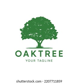 Oak Tree Logo design vector