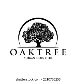 Oak tree logo design vector