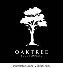 Oak Tree logo design vector illustration