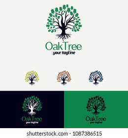 Oak Tree Logo Designs Template
