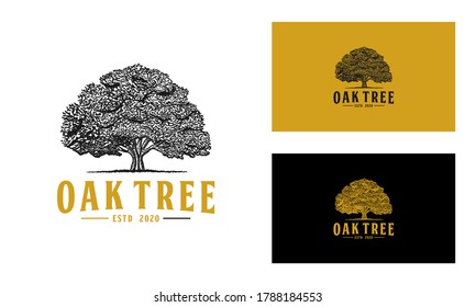 Oak tree logo hand drawn isolated vector design 