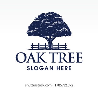 Oak Tree Logo Icon Vector