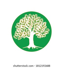 Oak Tree Logo-Illustration in einem grünen Kreis. Vektorsilhouette eines Baumes. 