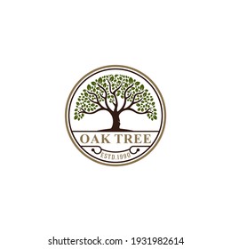 oak tree logo with a tree illustration that looks flourishing