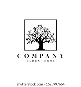 Oak tree logo illustration. Vector silhouette of a tree