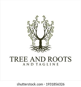 Oak tree logo illustration. Vector silhouette of a tree,Root Of The Tree logo illustration. Vector silhouette of a tree. 