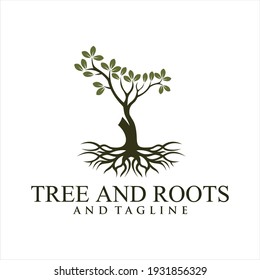 Oak tree logo illustration. Vector silhouette of a tree,Root Of The Tree logo illustration. Vector silhouette of a tree. 