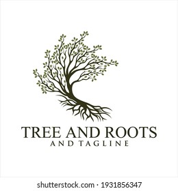 Oak tree logo illustration. Vector silhouette of a tree,Root Of The Tree logo illustration. Vector silhouette of a tree. 